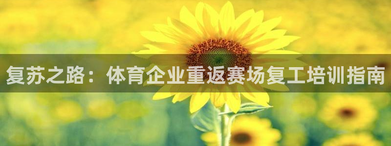 焦点娱乐app下载官网最新版苹果