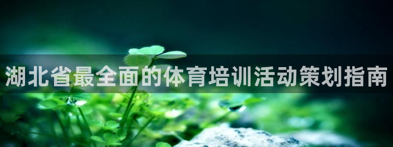 焦点娱乐是哪个公司的产品：湖北省最全面的体育培训活动