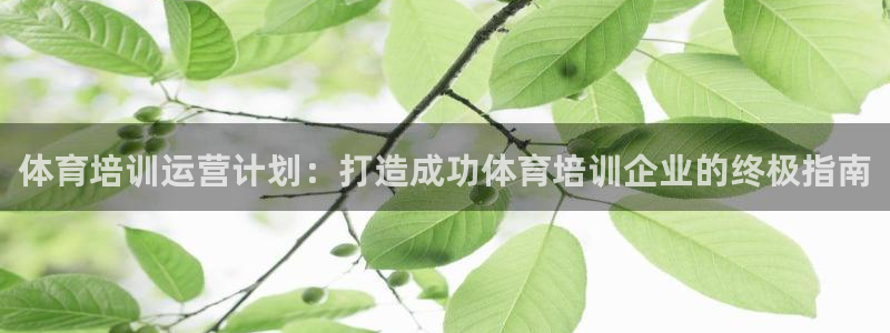 焦点娱乐无法提现怎么办：体育培训运营计划：打造成功体