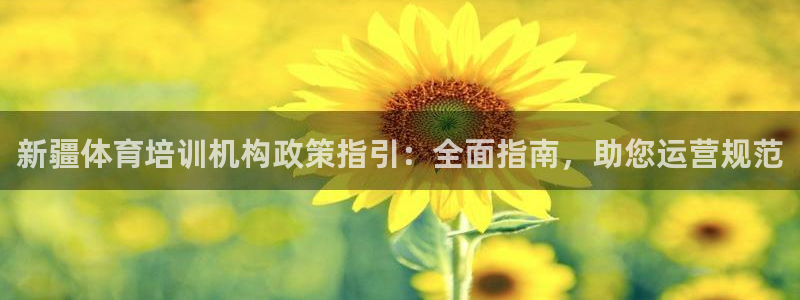 焦点娱乐app下载苹果版：新疆体育培训机构政策指引：